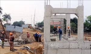 Ninh Bình kiện toàn lực lượng, chuẩn bị phương án hộ đê mùa mưa bão