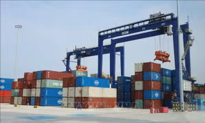 Đầu tư trực tiếp của Đức vào Trung Quốc thấp hơn nhiều so với dự báo