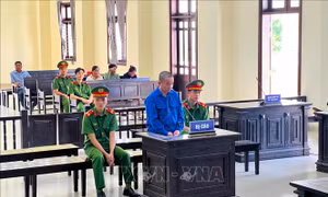 'Cò lúa' nhận bản án đích đáng