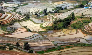 Lai Châu mùa nước đổ