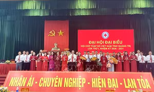 Chú trọng phát triển các mô hình nhân đạo bền vững gắn với giảm nghèo