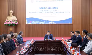 Chủ tịch Liên hiệp các tổ chức hữu nghị Việt Nam tiếp Đoàn mục sư Tin lành quốc tế