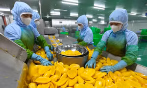 Rau quả Việt tăng tốc, tiến tới mục tiêu 10 tỷ USD