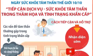 'Tiếp cận dịch vụ - sức khỏe tâm thần trong thảm họa và tình trạng khẩn cấp'