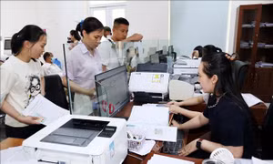Quảng Trị triển khai chiến dịch 100 ngày xử lý điểm nghẽn chuyển đổi số
