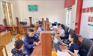 Chính phủ thống nhất thông qua dự án Luật Viên chức (sửa đổi)