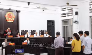 Cựu Giám đốc CDC Khánh Hòa lĩnh 3 năm 6 tháng tù