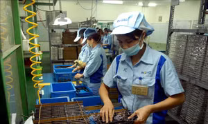 Doanh nghiệp, lao động khu vực ngoài nhà nước và FDI tăng nhanh