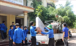 Bắc Ninh: Đôn đốc, đẩy nhanh tiến độ dự án Cảng hàng không quốc tế Gia Bình