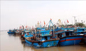 Ban Chỉ đạo Phòng thủ dân sự quốc gia yêu cầu chủ động ứng phó áp thấp nhiệt đới trên Biển Đông