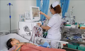 TP Hồ Chí Minh: Xây dựng nghị quyết hỗ trợ 100% chi phí cho bệnh nhân suy thận mạn giai đoạn cuối