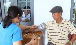 Giải bài toán nhân lực cho trạm y tế cơ sở theo mô hình mới