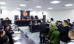 Lãnh đạo Z Holding khai tự 'sáng tác' công thức trộn 26 loại sữa giả