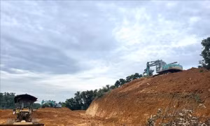 Chủ tịch UBND Hà Nội chỉ đạo xử lý vụ 'xẻ thịt' đất đồi tại Ba Vì do TTXVN phản ánh