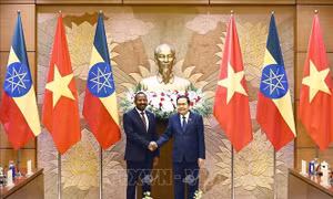 Chủ tịch Quốc hội Trần Thanh Mẫn hội kiến Thủ tướng Ethiopia