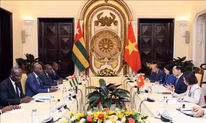 Đưa hợp tác Việt Nam - Togo ngày càng hiệu quả, thực chất