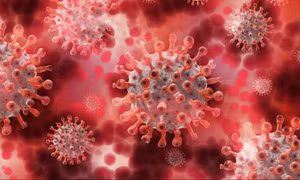 Cuba nỗ lực ngăn chặn sự lây lan của virus Oropouche