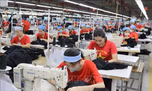 Mỗi năm lực lượng lao động được bổ sung khoảng 500 nghìn người
