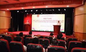 Hải Phòng tăng tốc chuyển đổi quản lý thuế hộ kinh doanh