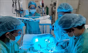 Cứu sống trẻ sơ sinh vàng da tan máu nặng hiếm gặp