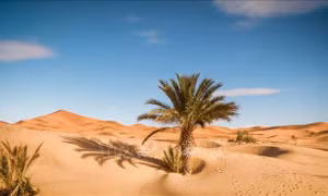Niger: Gần 50 người chết giữa sa mạc Sahara