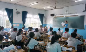 TP Hồ Chí Minh: Đề xuất thêm chính sách đãi ngộ cho giáo viên môn đặc thù