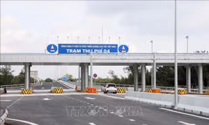Đề xuất chi gần 3.000 tỷ đồng xây nút giao nối cao tốc Bến Lức - Long Thành với đường Rừng Sác