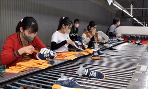Cả nước có 8.843 doanh nghiệp quay trở lại hoạt động để đón cơ hội mới