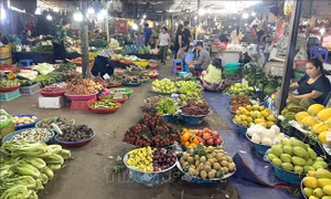 TP Hồ Chí Minh: Hàng dồi dào nhưng chợ vắng khách