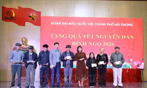 Thăm, tặng quà nạn nhân chất độc da cam/dioxin, các ngư dân, hộ nghèo