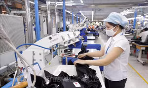 Miễn giảm thuế - tạo đà cho kinh tế phát triển