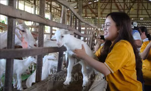 Gỡ 'nút thắt' để du lịch nông nghiệp, sinh thái phát triển xứng tầm