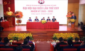 Đại hội Đảng bộ Tập đoàn Bưu chính Viễn thông Việt Nam lần thứ XXV