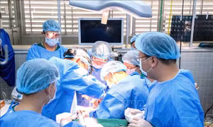 Cứu sống bệnh nhân ung thư hốc mũi hiếm gặp