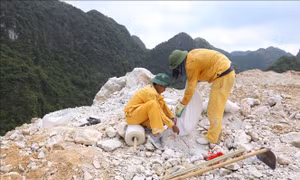 Cá nhân vi phạm hành chính trong lĩnh vực hóa chất và vật liệu nổ công nghiệp có thể bị phạt tới 100 triệu đồng