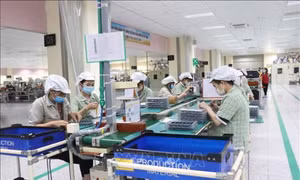 Bắc Ninh dẫn đầu cả nước về tỷ trọng kinh tế số trong GRDP