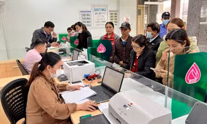 Phát huy hiệu quả vốn tín dụng chính sách