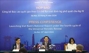Việt Nam đạt nhiều thành tựu trong bảo vệ, thúc đẩy quyền con người