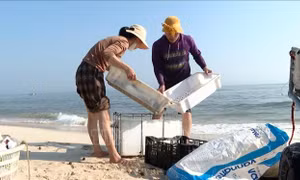 Ngư dân trúng đậm lộc biển