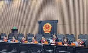 Quyết sách mở đường cho nền tư pháp chuyên nghiệp - Bài 2
