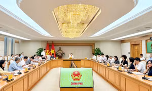 Phân định rõ cơ chế tự chủ giữa cơ sở giáo dục đại học công lập và tư thục