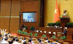 Sửa đổi Luật Công đoàn tương thích với các điều ước quốc tế