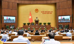 Thông cáo báo chí số 13, Kỳ họp thứ 7, Quốc hội khóa XV