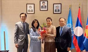 Phái đoàn Thường trực Việt Nam tại LHQ chung vui Tết cổ truyền của Lào và Campuchia