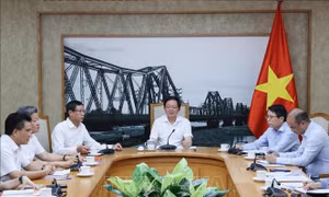 Bổ nhiệm Trợ lý Phó Thủ tướng Chính phủ Hồ Quốc Dũng