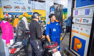 ‘Lá chắn’ an ninh năng lượng quốc gia cần được tạo bởi nhiều lớp