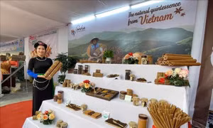 Nhiều hoạt động đặc sắc tại Lễ hội Quế Văn Yên