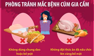 Những điều cần biết khi chế biến thực phẩm để phòng tránh mắc bệnh cúm gia cầm