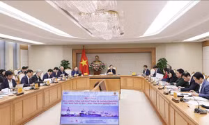 Điều chỉnh quy hoạch hệ thống cảng biển bám sát nhu cầu phát triển từng vùng kinh tế