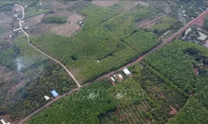 Phương án đầu tư tuyến đường kết nối tỉnh Bình Phước và tỉnh Đồng Nai qua cầu Mã Đà